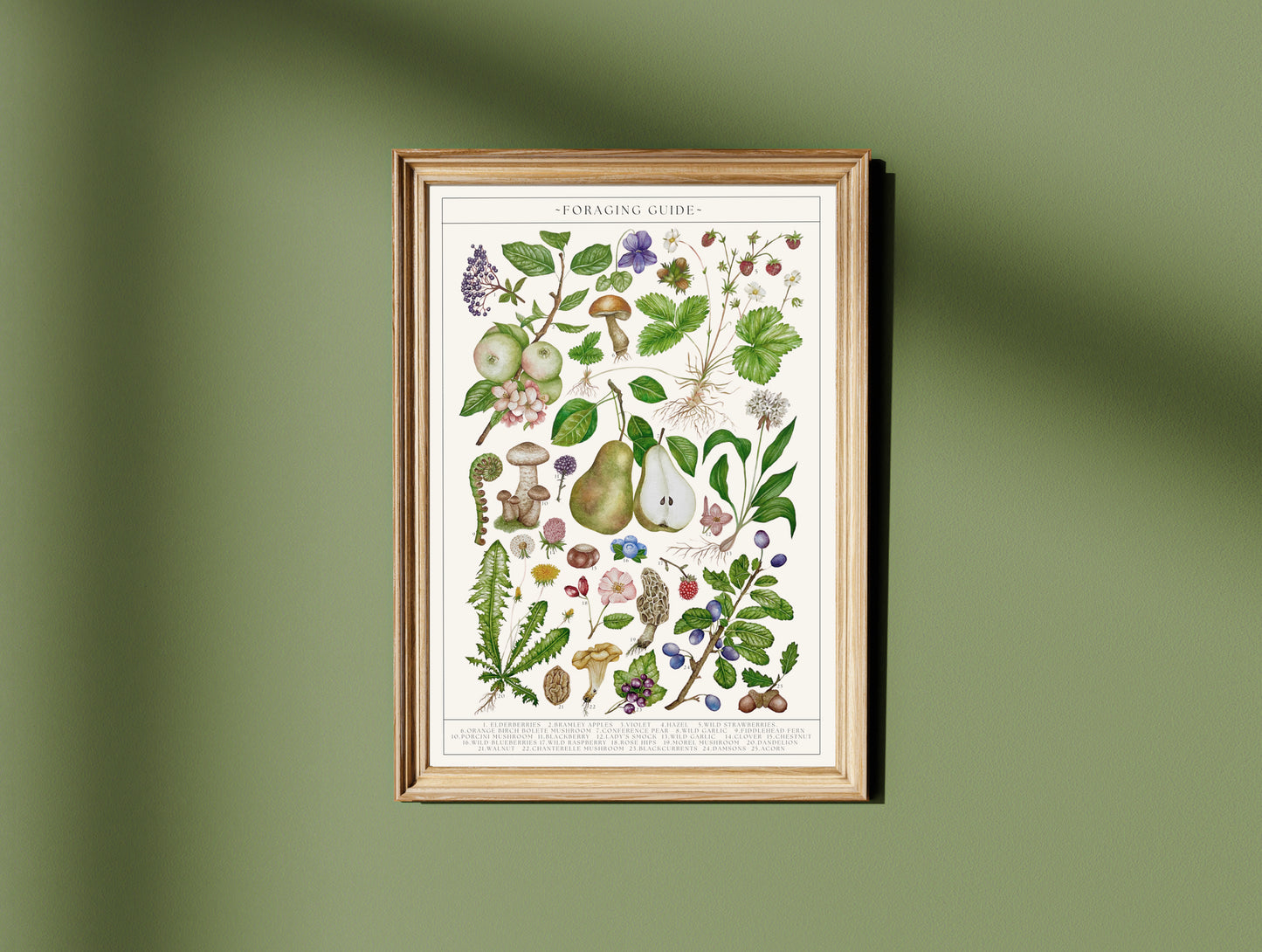 Botanical Foraging Guide Watercolour Art Print
