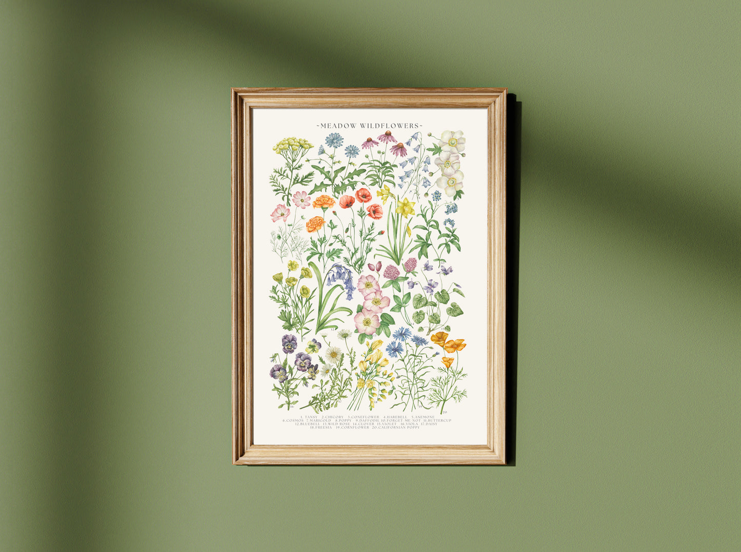 Botanical Meadow Wildflowers Watercolour Art Print