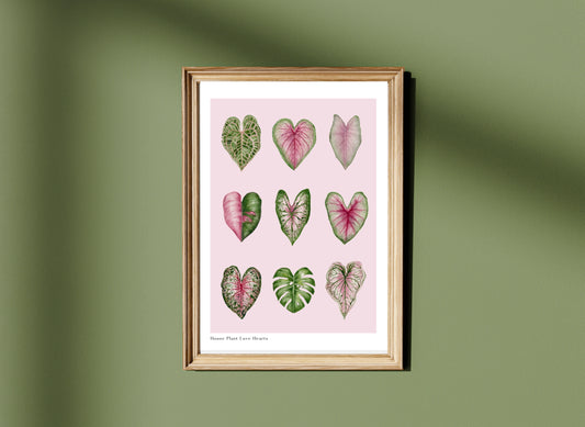 Botanical Pink House Plant Hearts Watercolour Art Print