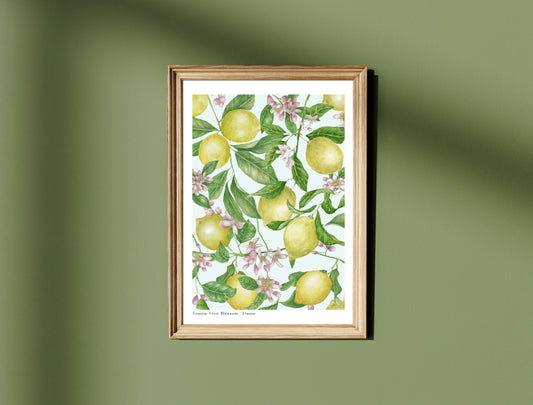 Botanical Lemon Tree Blossom Watercolour Wall Art Print