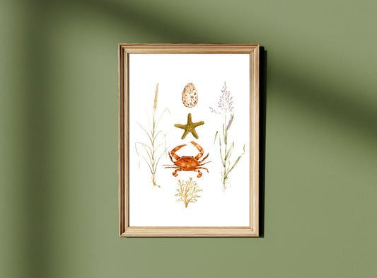 Coastal Aesthetic Watercolour Wall Art Print