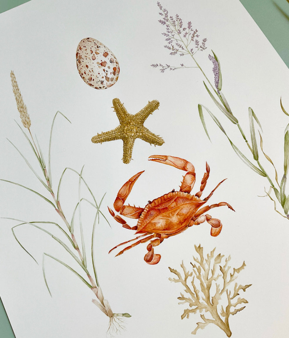 Coastal Aesthetic Watercolour Wall Art Print