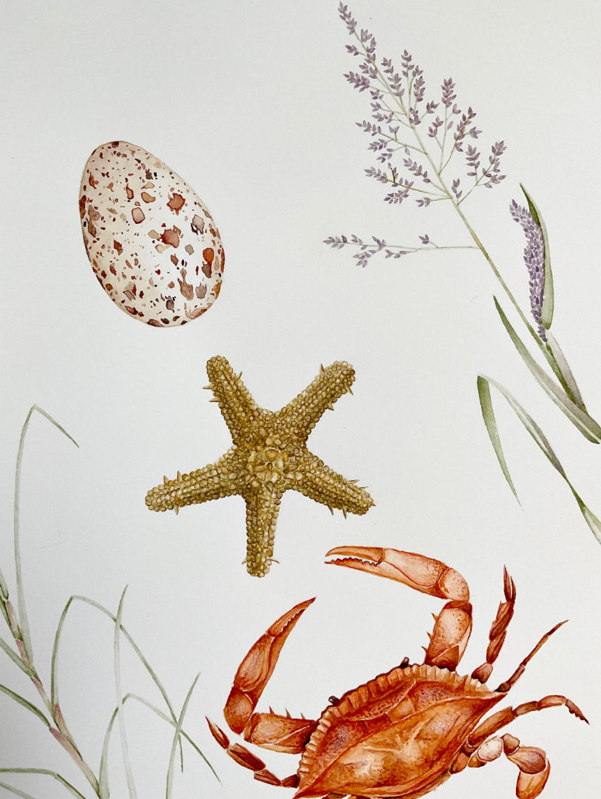 Coastal Aesthetic Watercolour Wall Art Print