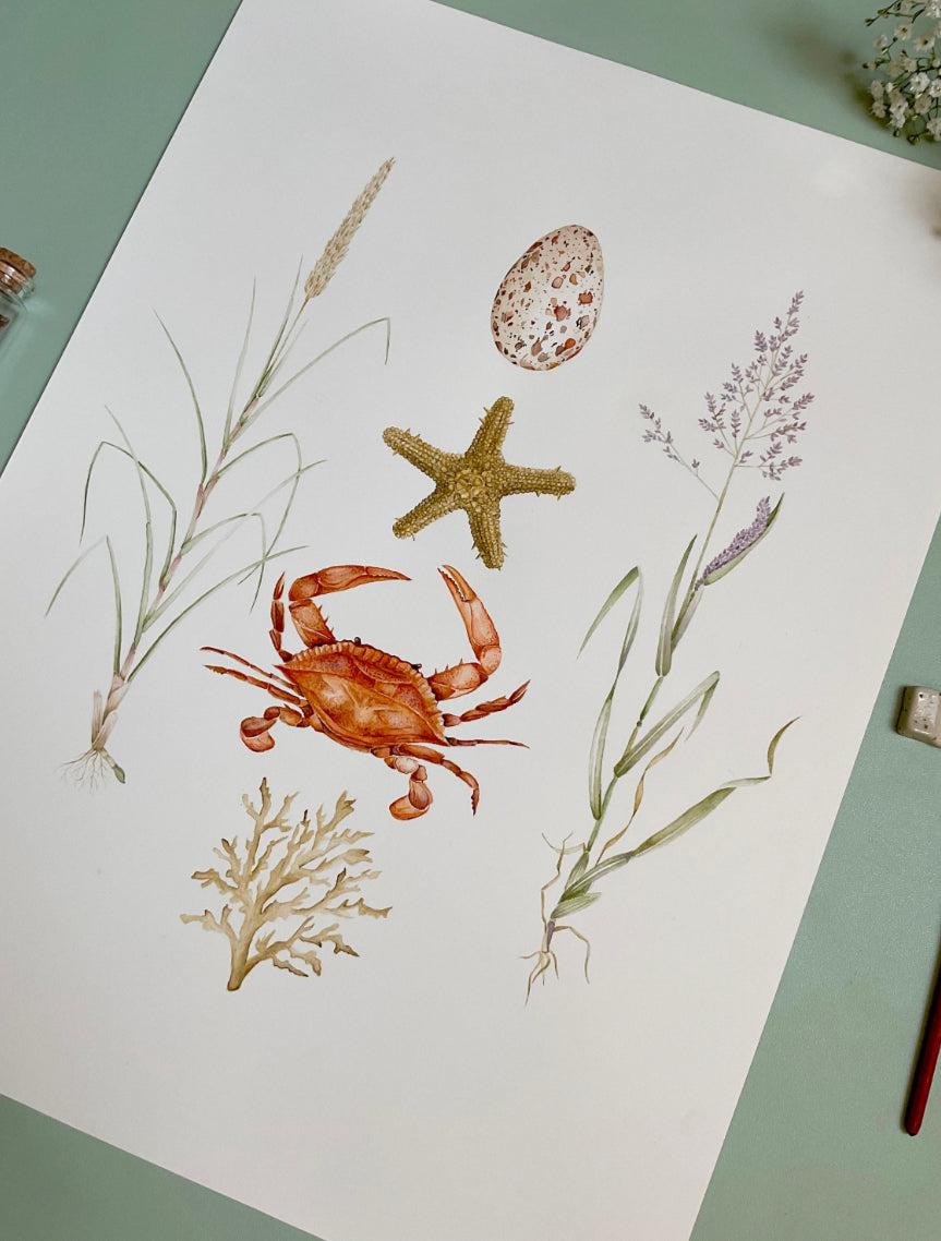 Coastal Aesthetic Watercolour Wall Art Print