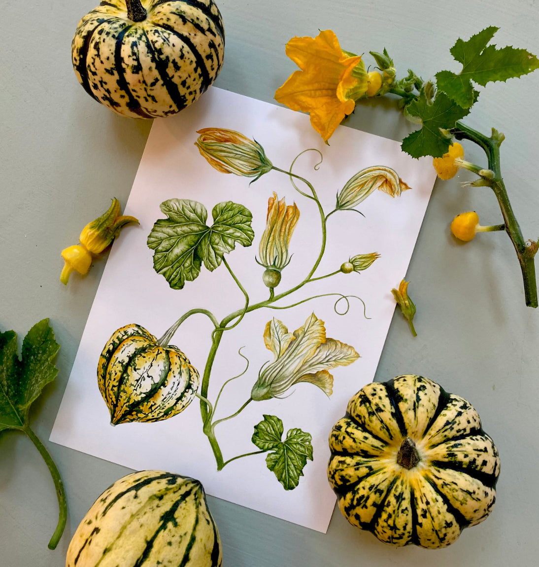 Botanical Carnival Squash Watercolour Wall Art Print