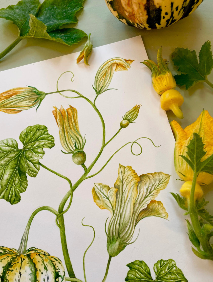Botanical Carnival Squash Watercolour Wall Art Print