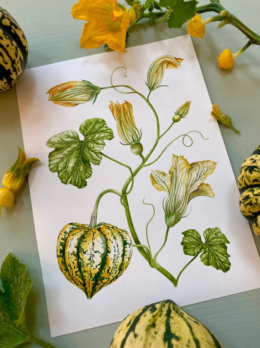 Botanical Carnival Squash Watercolour Wall Art Print