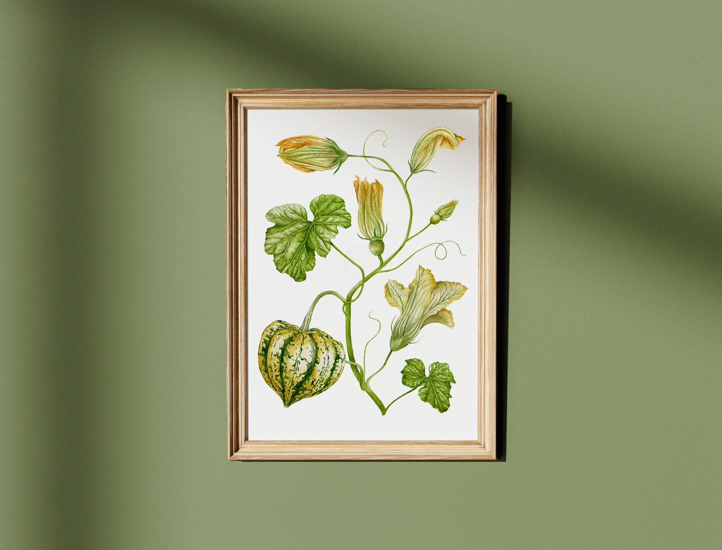 Botanical Carnival Squash Watercolour Wall Art Print