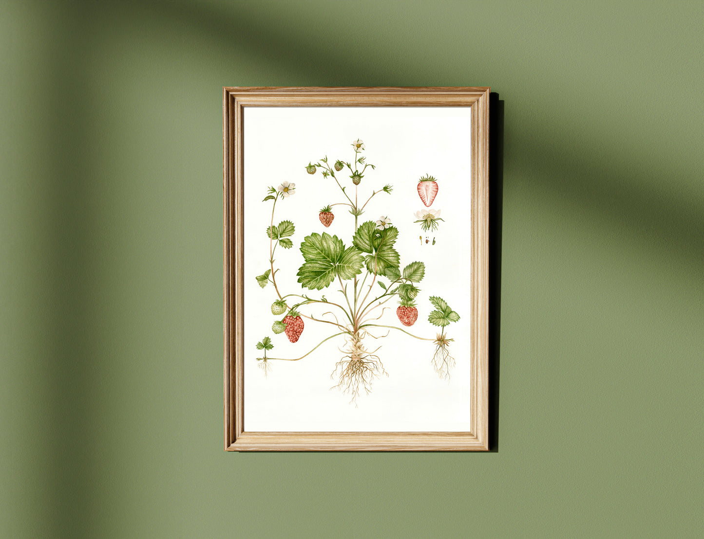 Botanical Strawberries Watercolour Wall Art Print