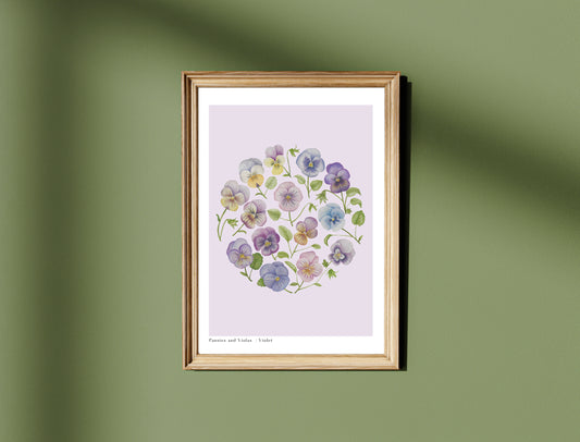 Botanical Pansies and Violas Watercolour Wall Art Print
