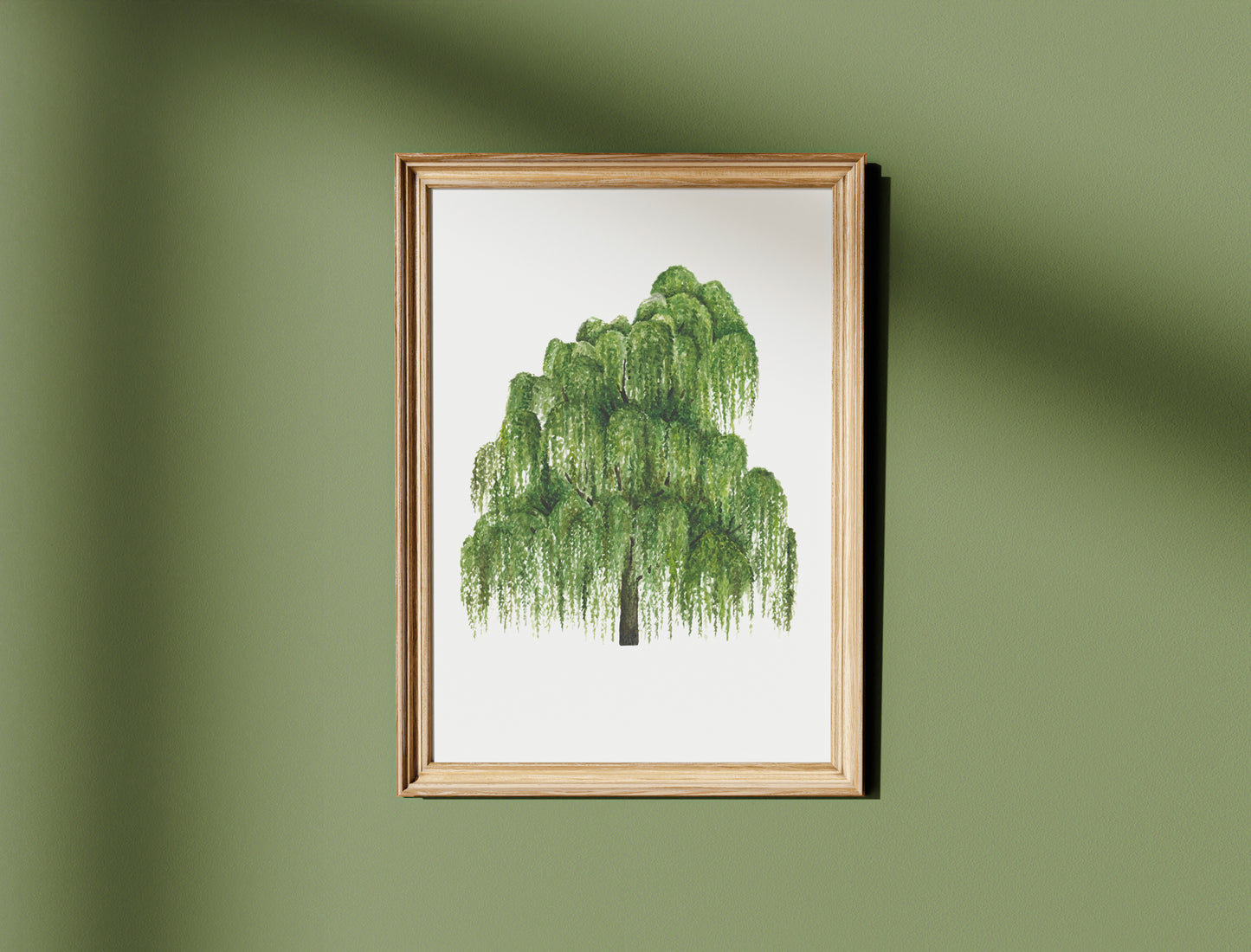 Botanical Willow Tree Watercolour Wall Art Print