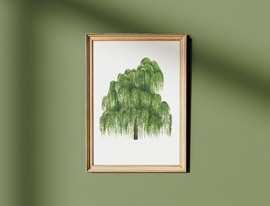 Botanical Willow Tree Watercolour Wall Art Print