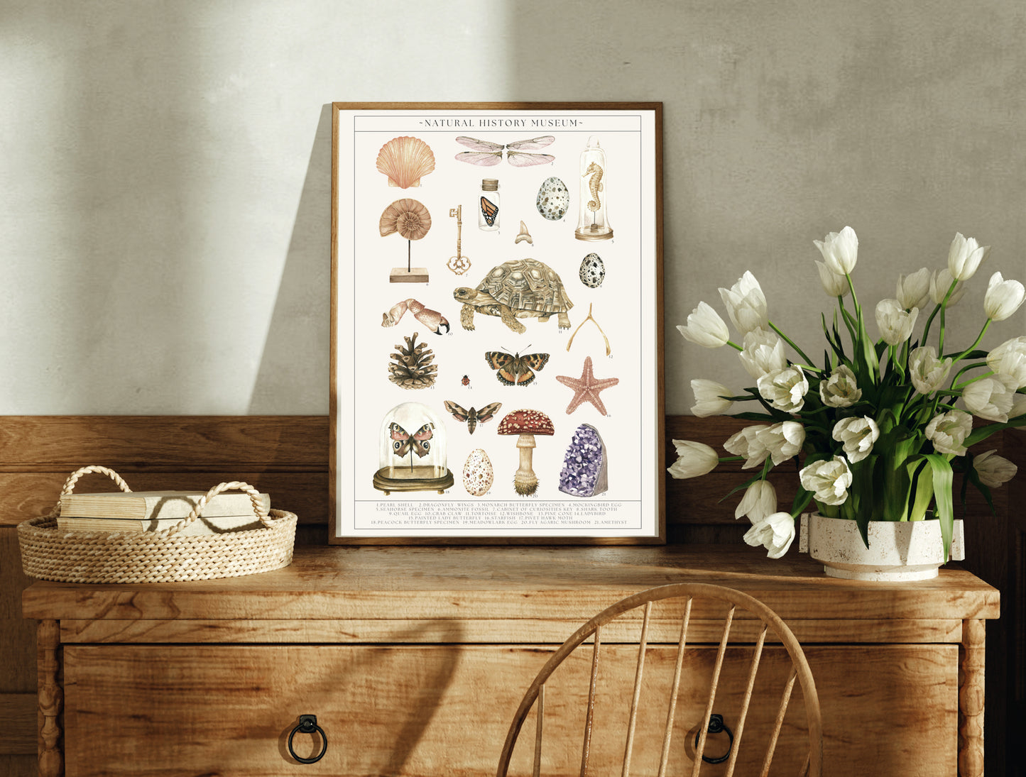 Natural History Museum Watercolour Wall Art Print