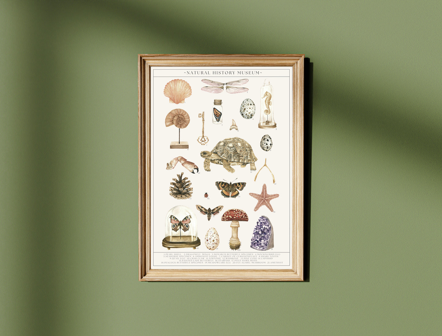 Natural History Museum Watercolour Wall Art Print