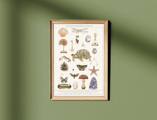 Natural History Museum Watercolour Wall Art Print