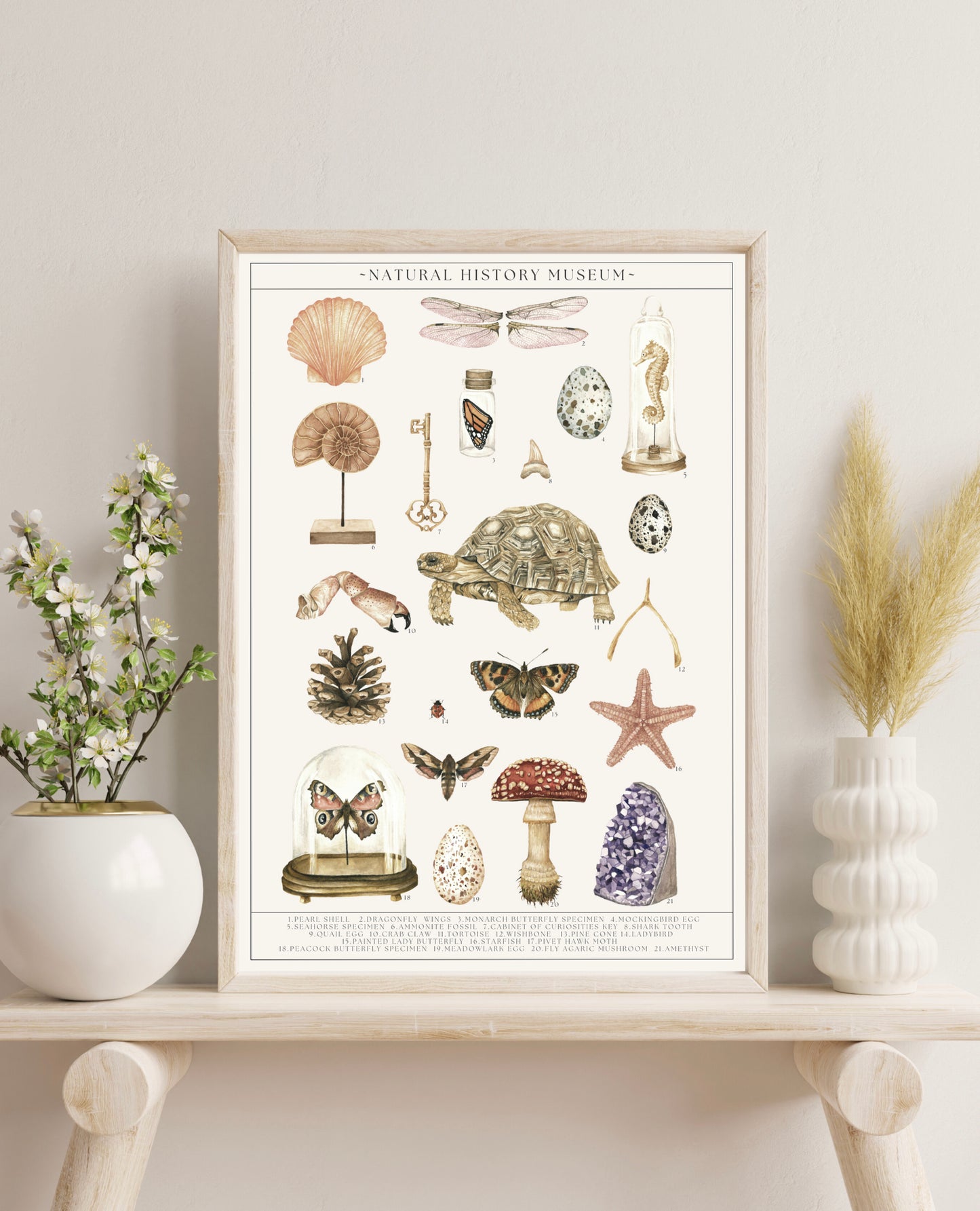 Natural History Museum Watercolour Wall Art Print