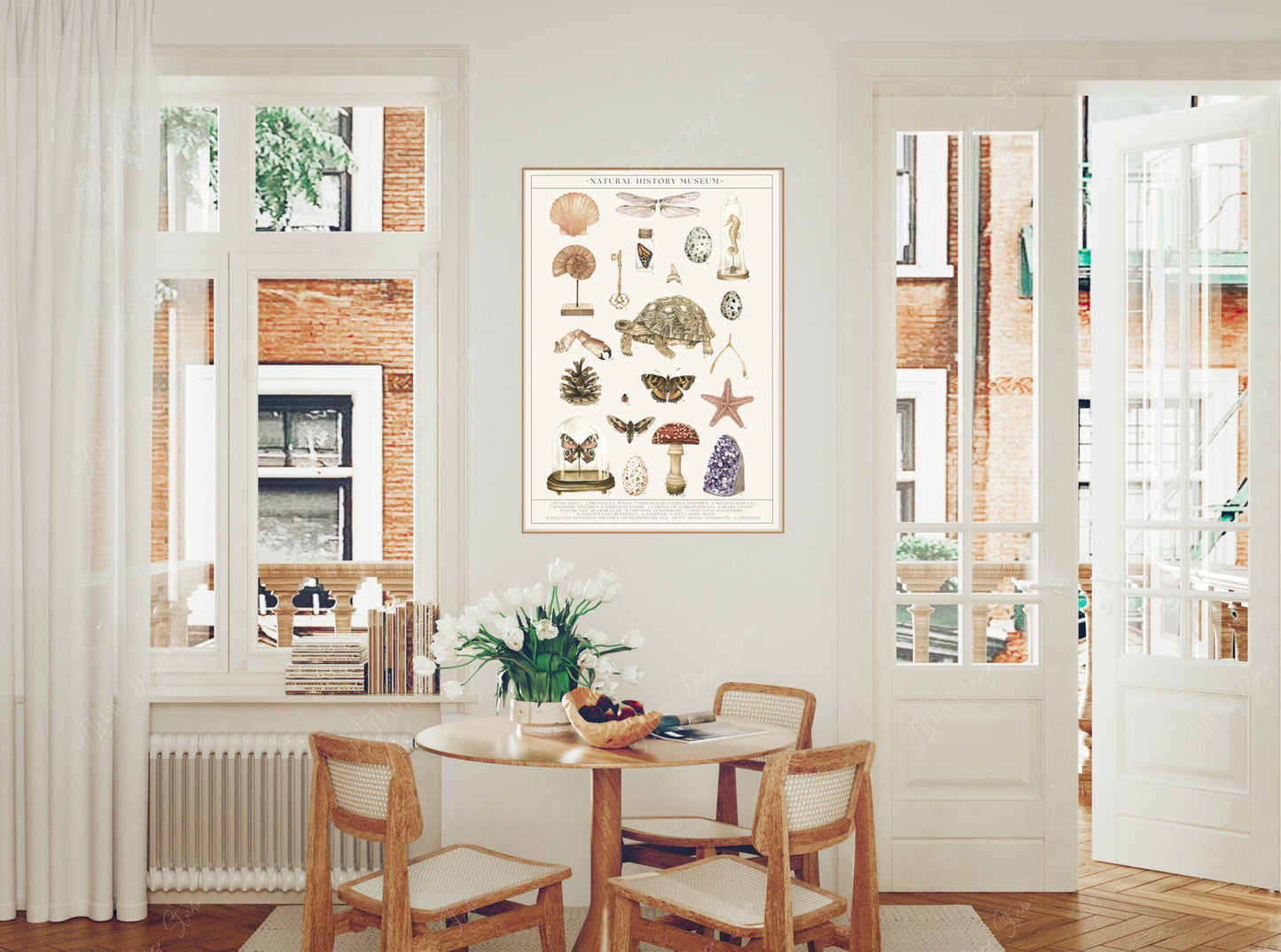 Natural History Museum Watercolour Wall Art Print