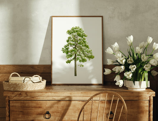 Pine Tree Botanical Watercolour Print