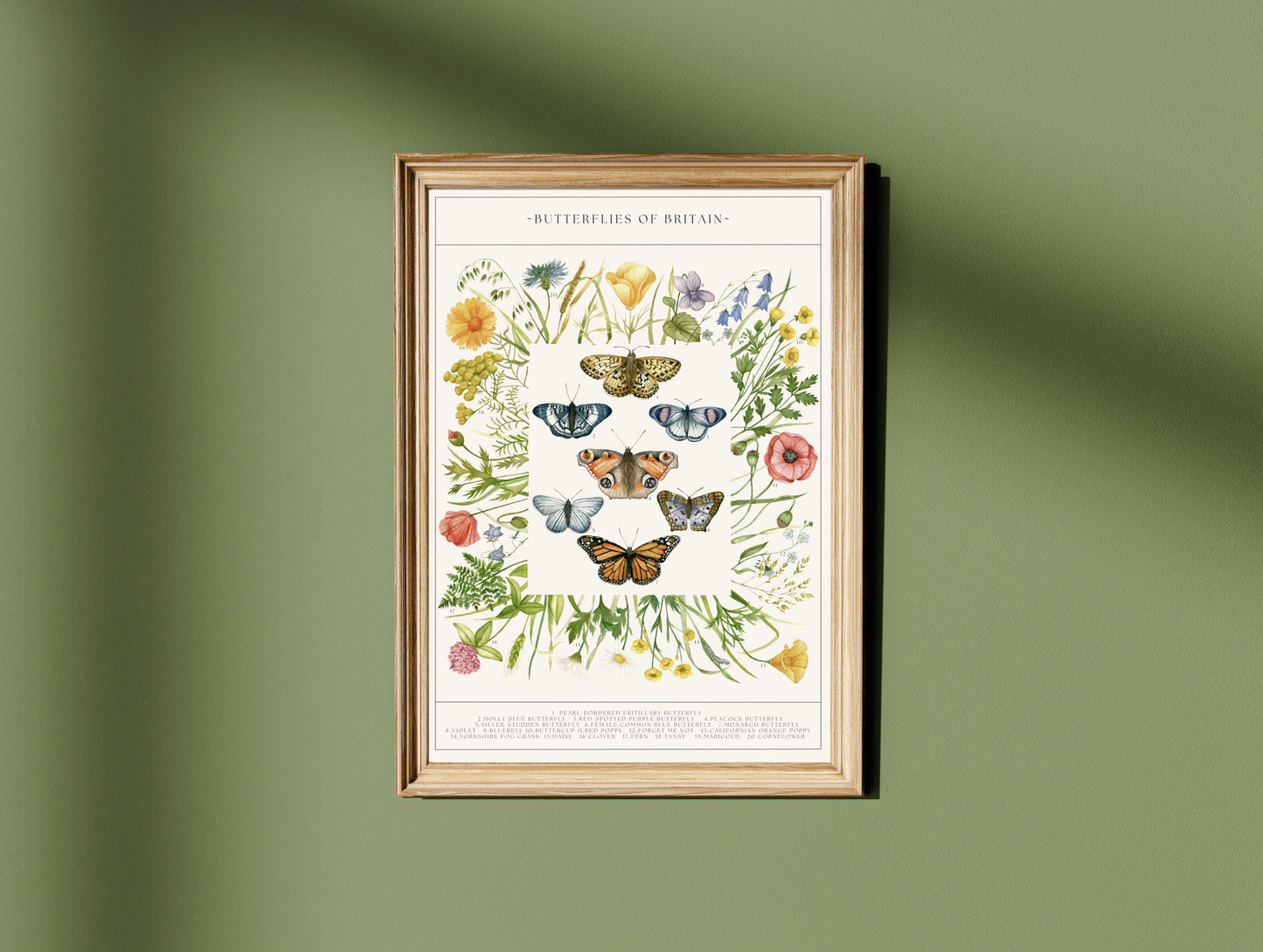 Botanical Butterfly Wildflower Guide Watercolour Print