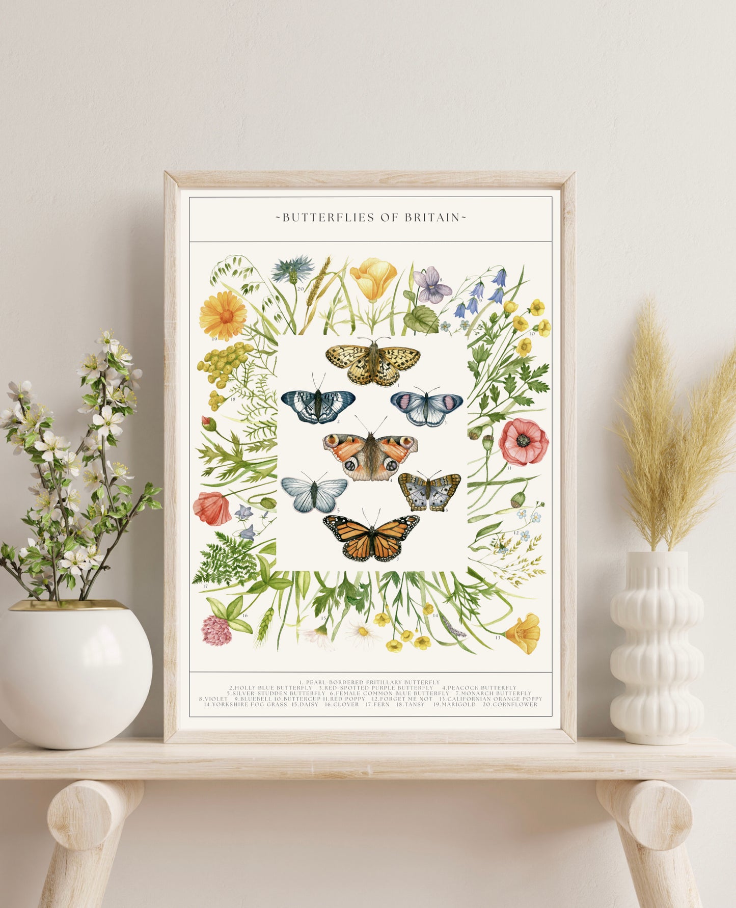 Botanical Butterfly Wildflower Guide Watercolour Print