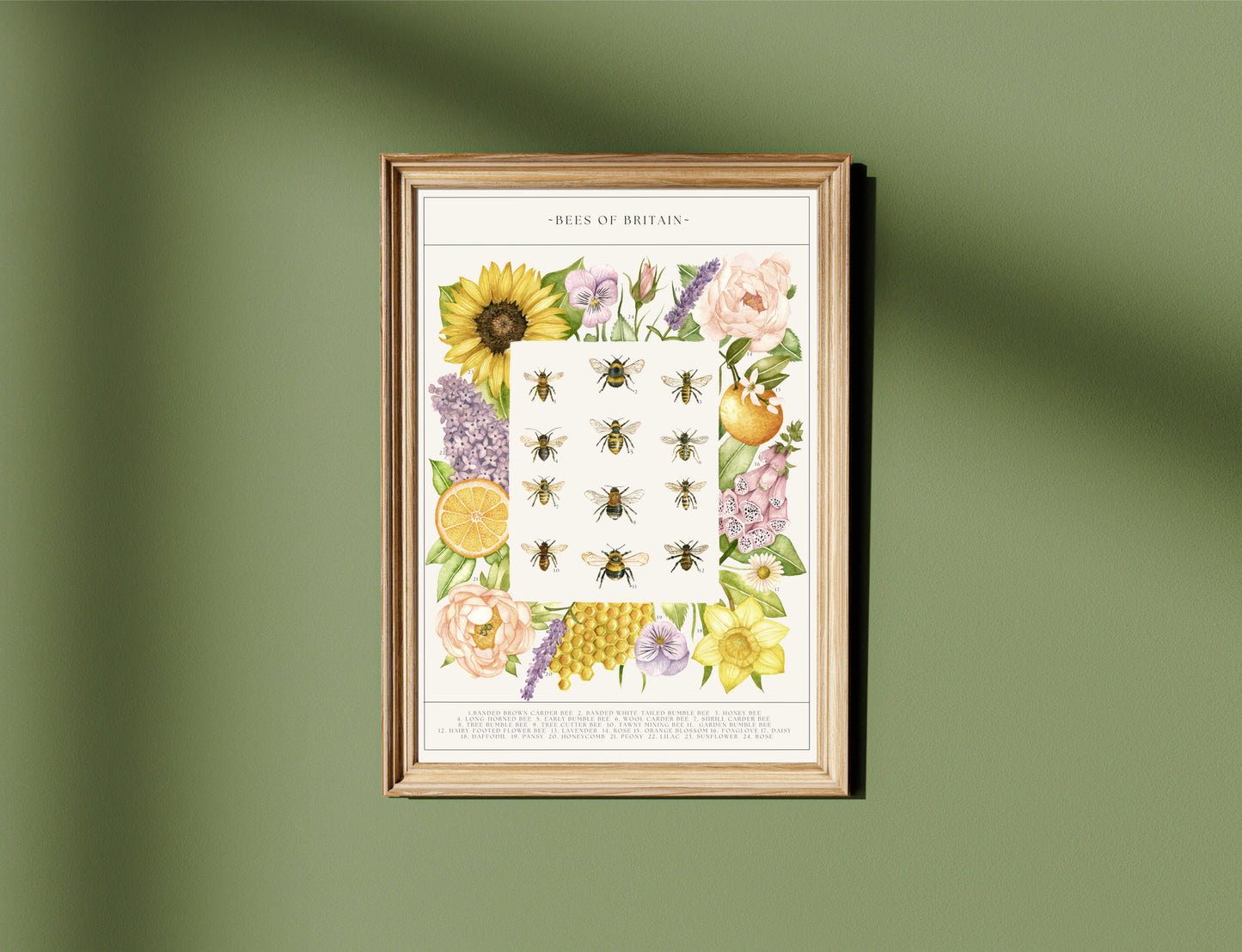 Botanical Bee Guide Watercolour Print