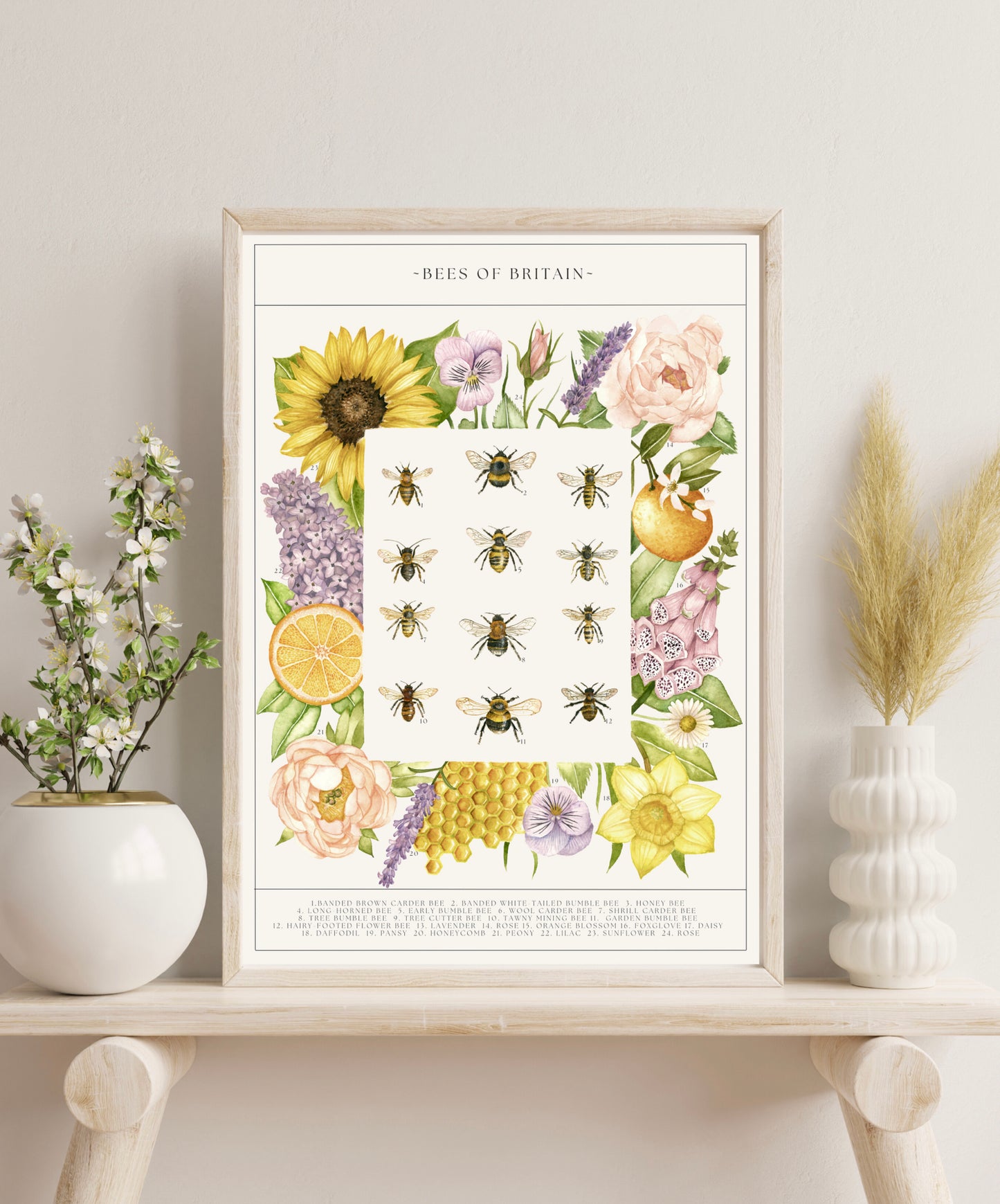 Botanical Bee Guide Watercolour Print