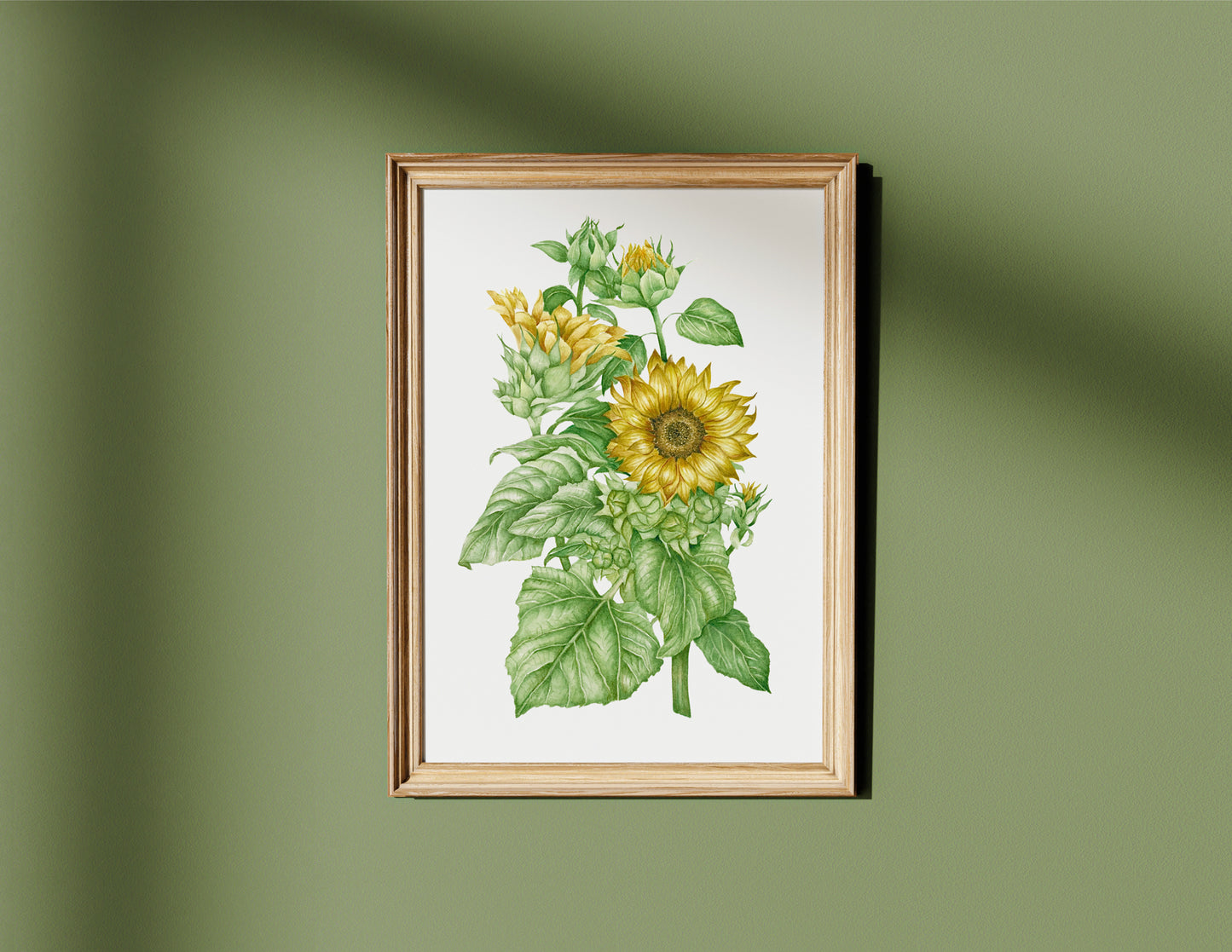 Botanical Sunflowers Watercolour Print