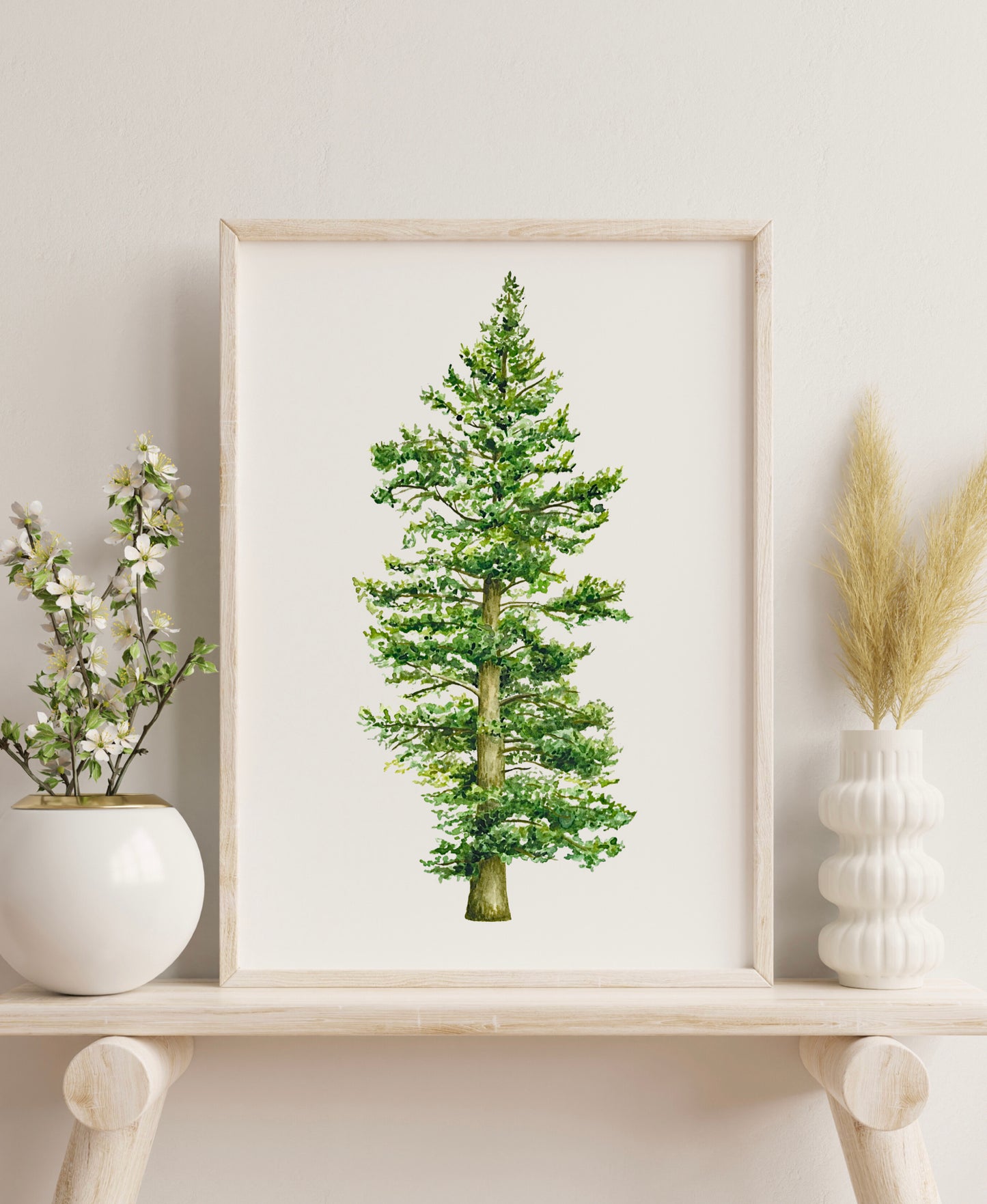 Botanical Redwood Tree Watercolour Print