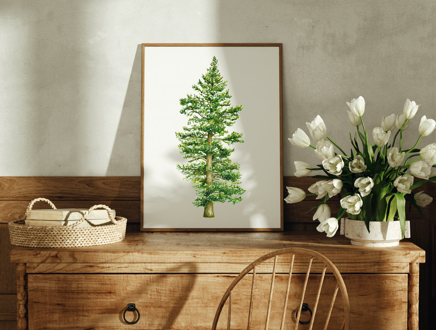 Botanical Redwood Tree Watercolour Print