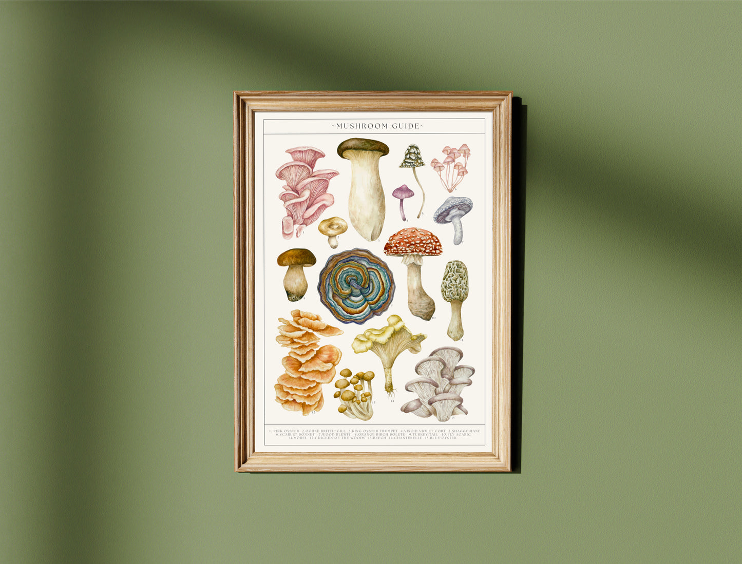 Botanical Mushroom Guide Watercolour Print