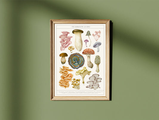 Botanical Mushroom Guide Watercolour Print