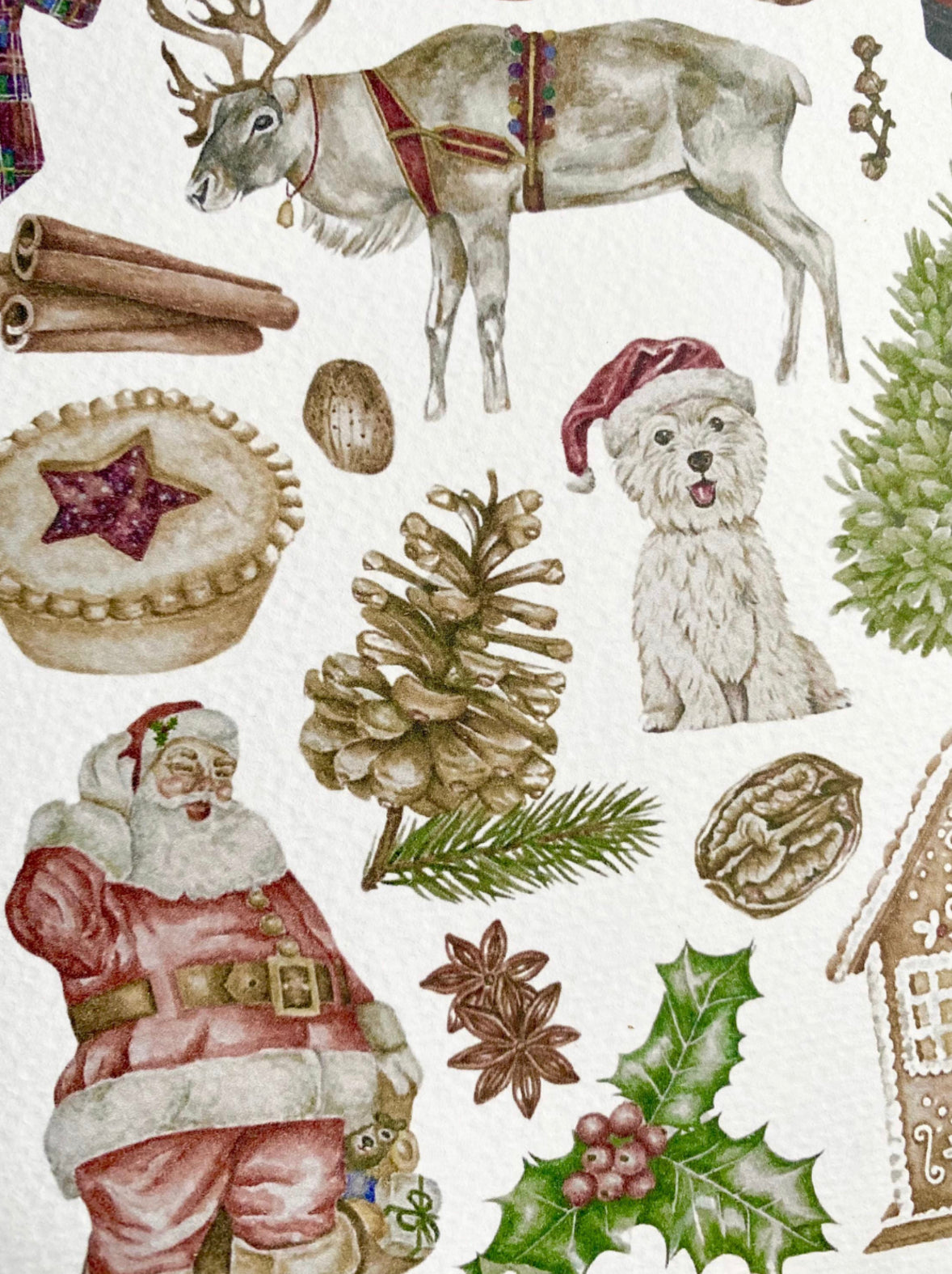 Botanical Christmas Card