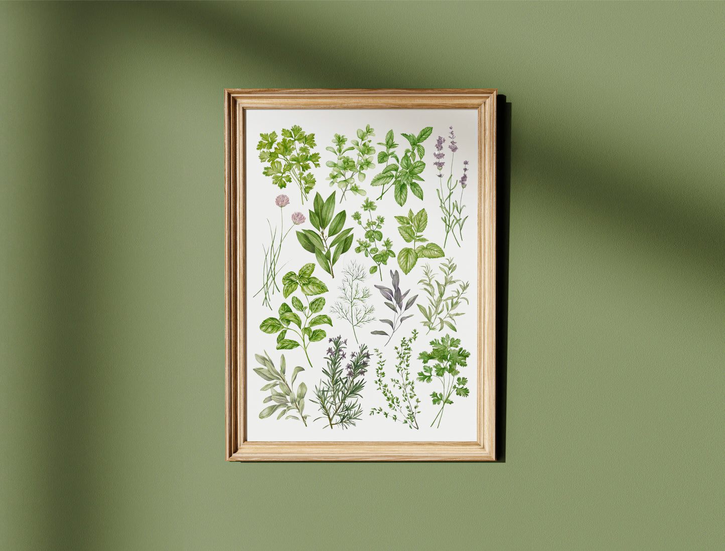 Botanical Herbs Watercolour Print