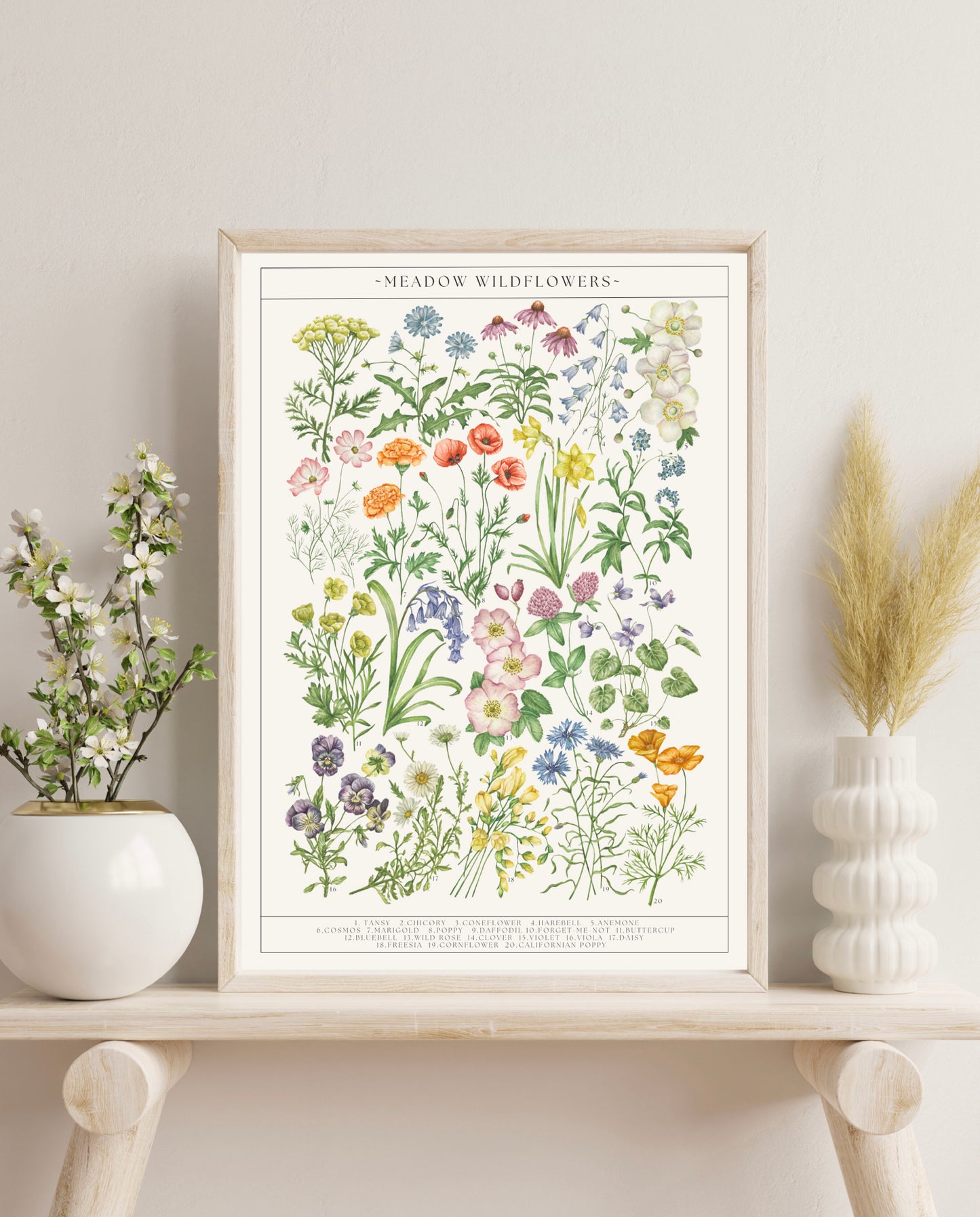 Botanical Wildflower Guide Watercolour Print