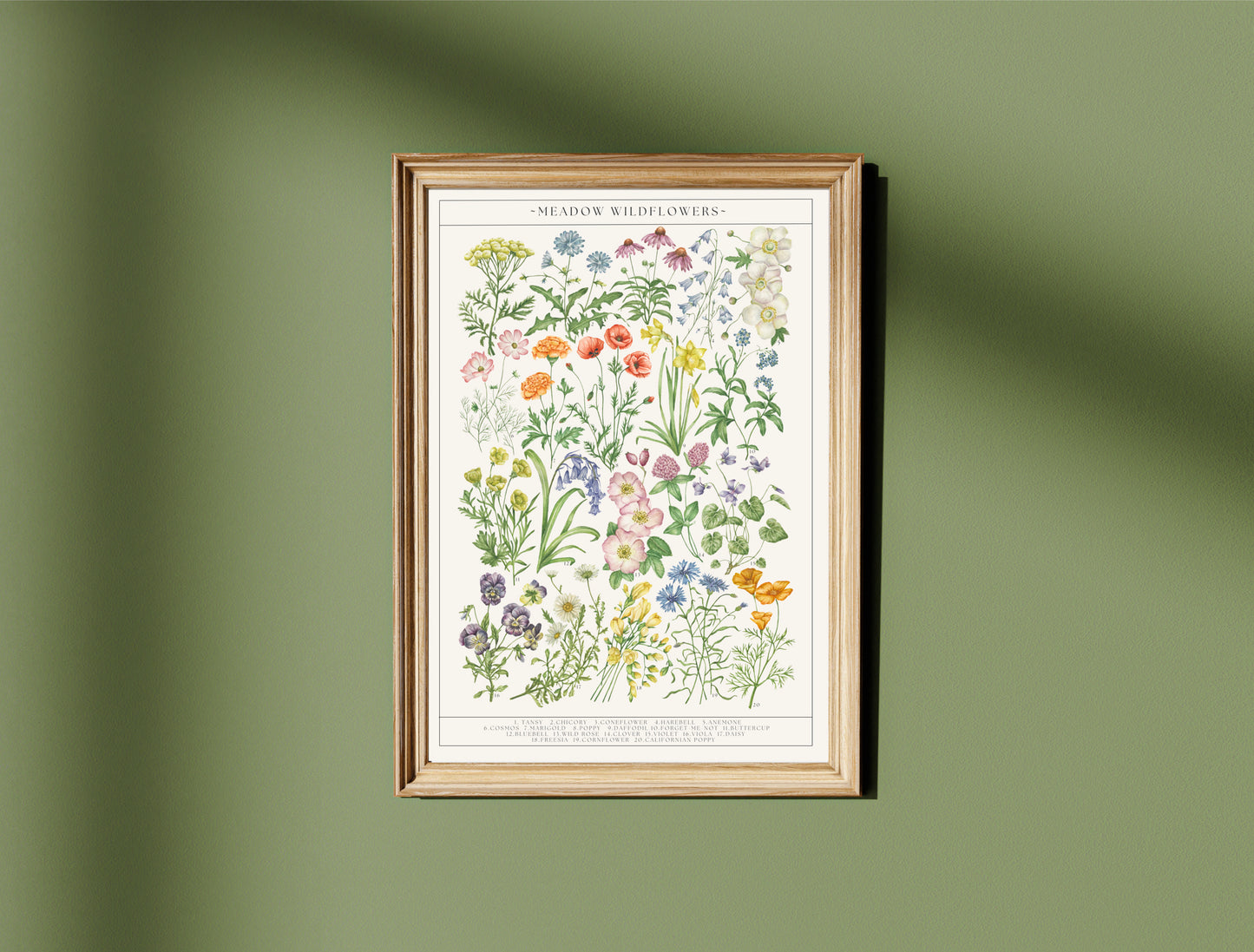 Botanical Wildflower Guide Watercolour Print
