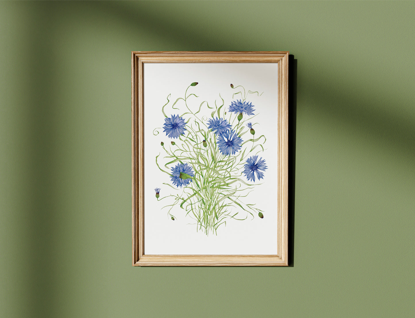 Botanical Cornflowers Watercolour Print