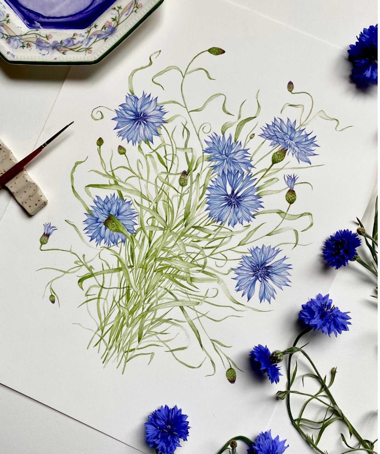 Botanical Cornflowers Watercolour Print