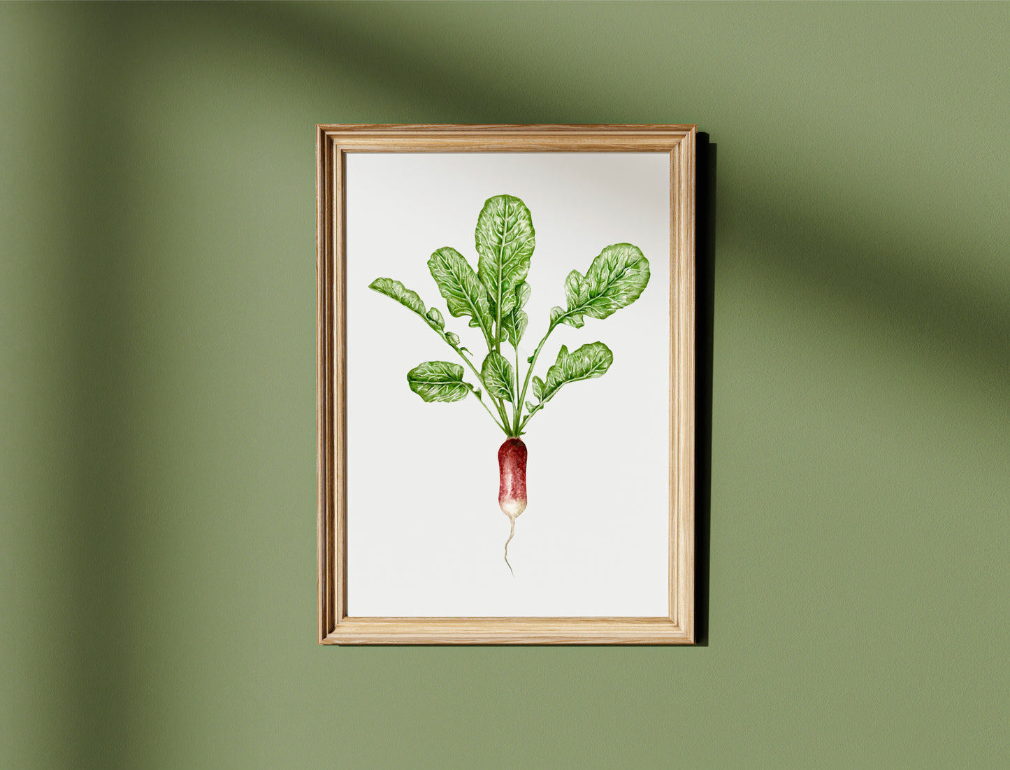 Botanical Radish Watercolour Print
