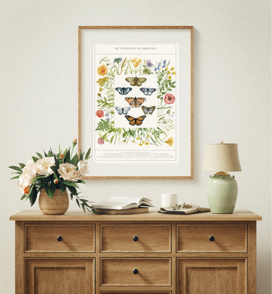 Botanical Butterfly Wildflower Guide Watercolour Print