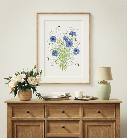 Botanical Cornflowers Watercolour Print