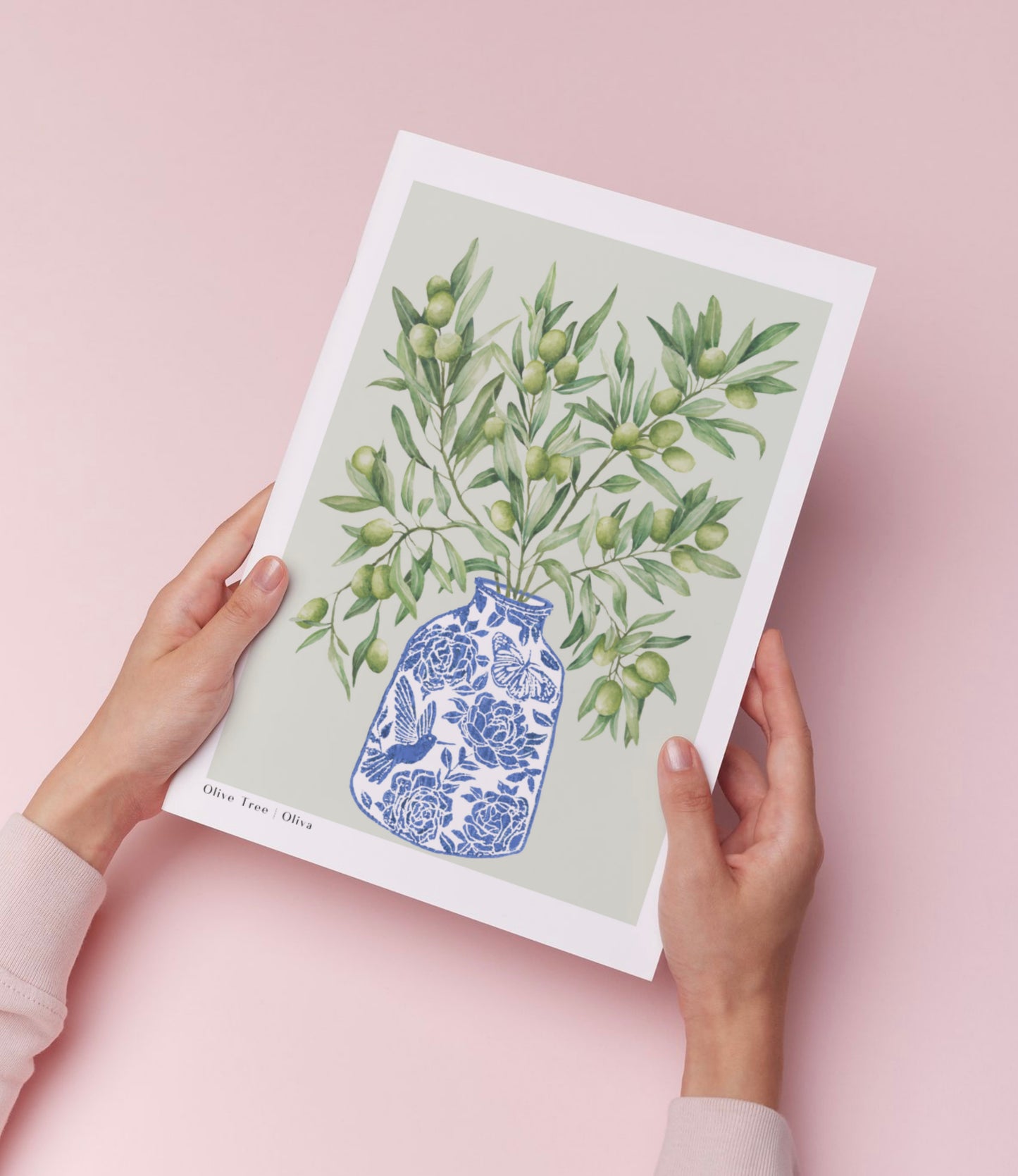 Botanical Olive Tree Branch Vase Watercolour Art Print