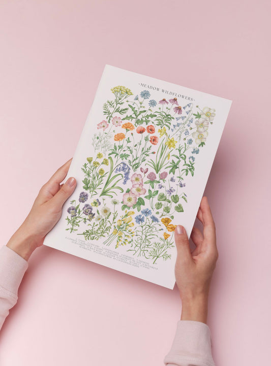 Botanical Meadow Wildflowers Watercolour Art Print