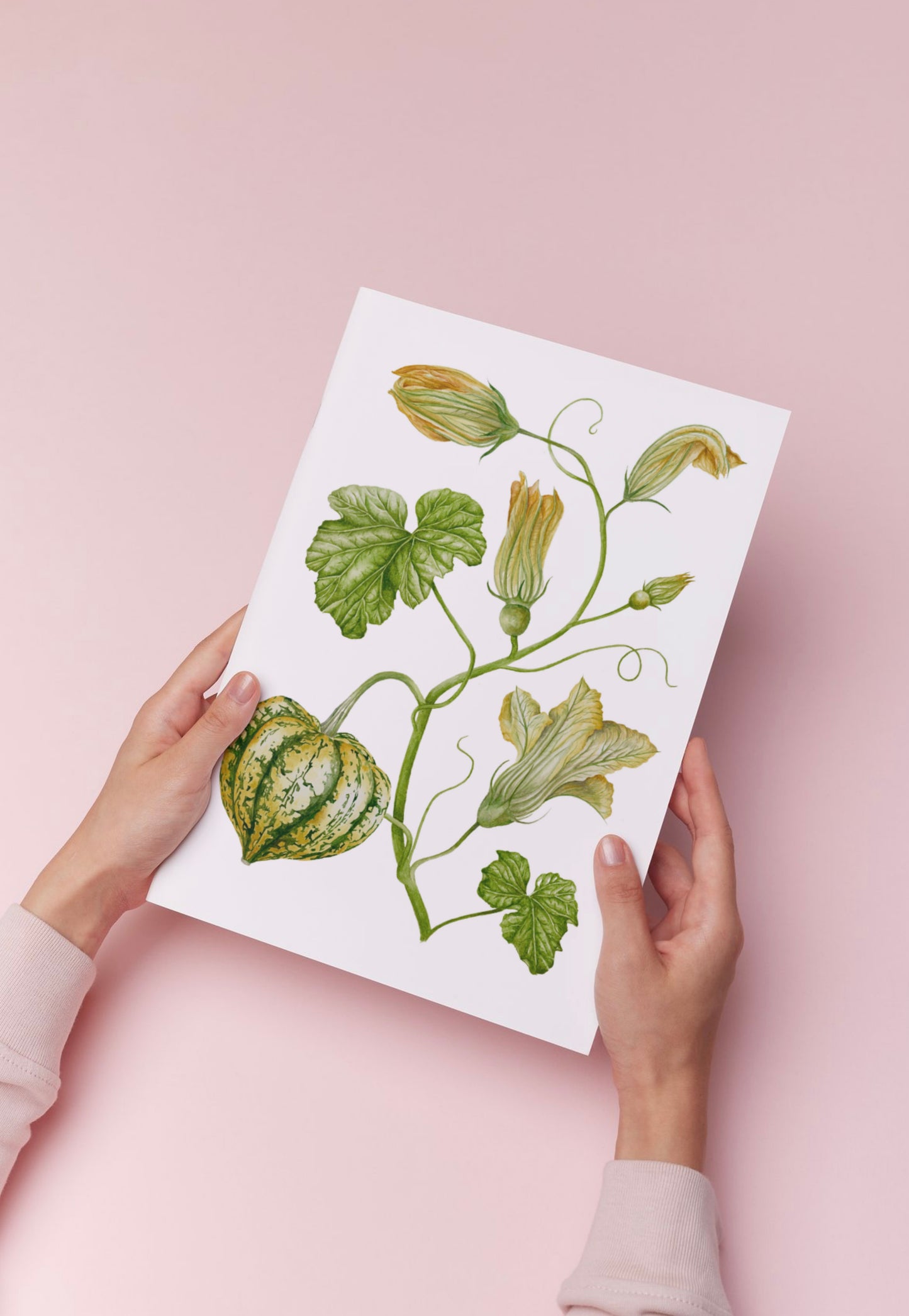 Botanical Carnival Squash Watercolour Wall Art Print