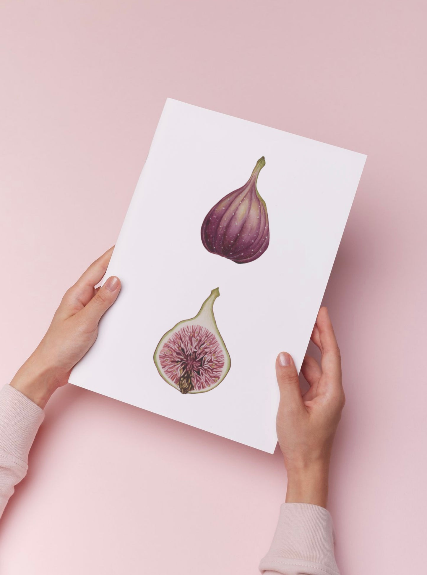 Botanical Figs Watercolour Wall Art Print