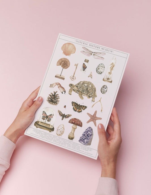 Natural History Museum Watercolour Wall Art Print