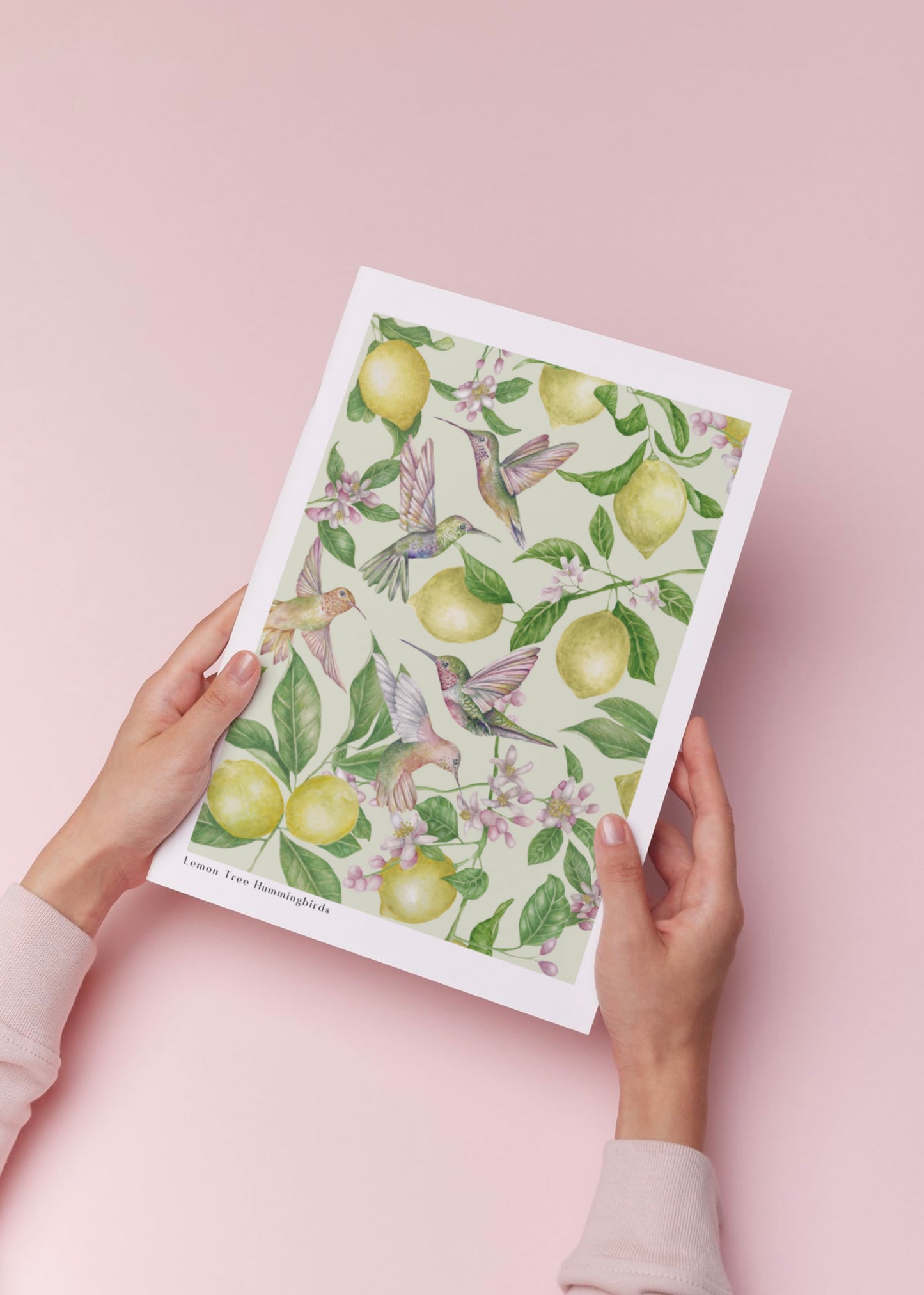 Lemon Tree Hummingbirds Botanical Watercolour Wall Art Print