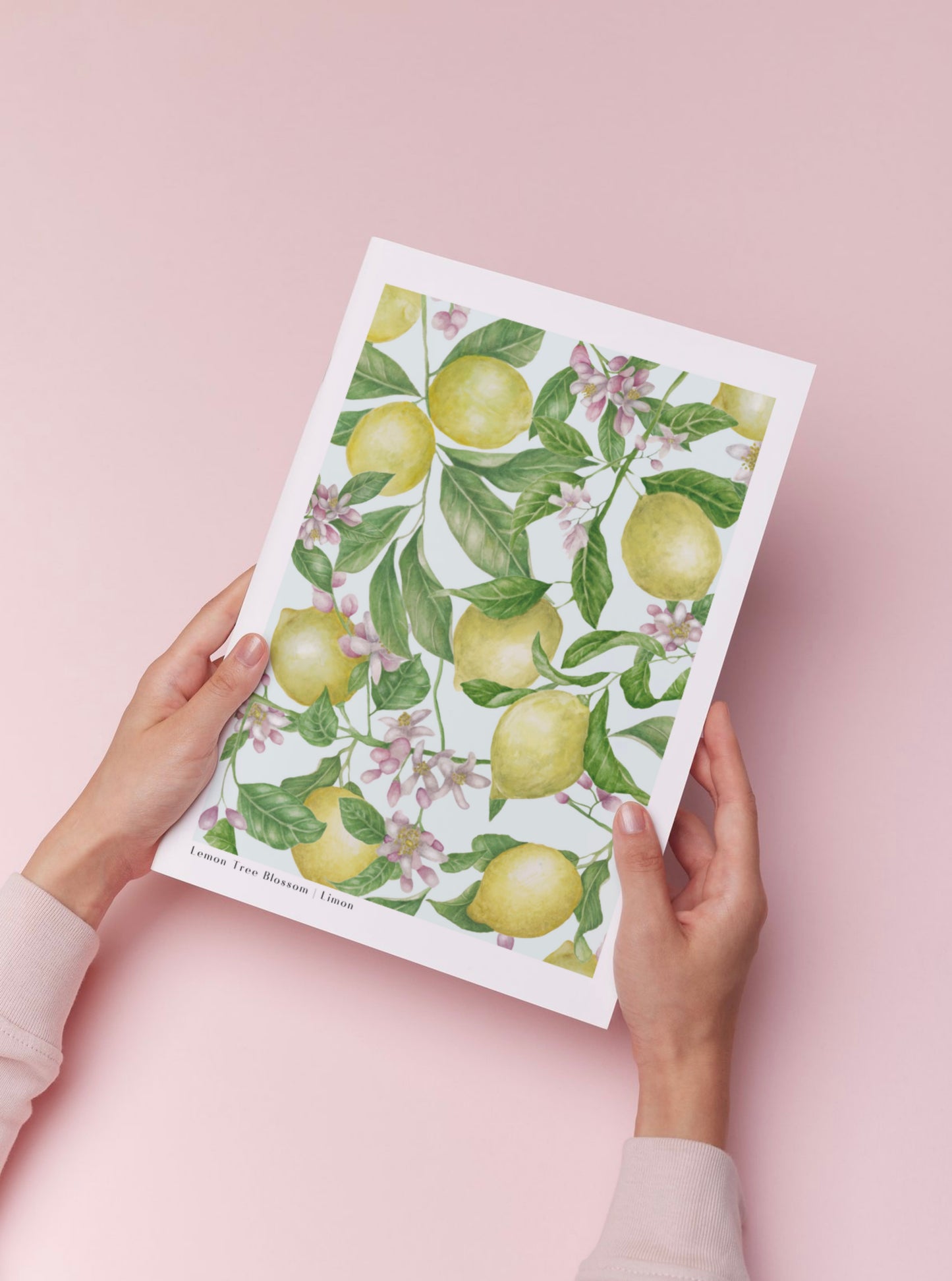 Botanical Lemon Tree Blossom Watercolour Wall Art Print