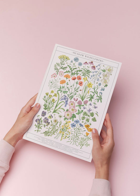 Botanical Wildflower Guide Watercolour Print