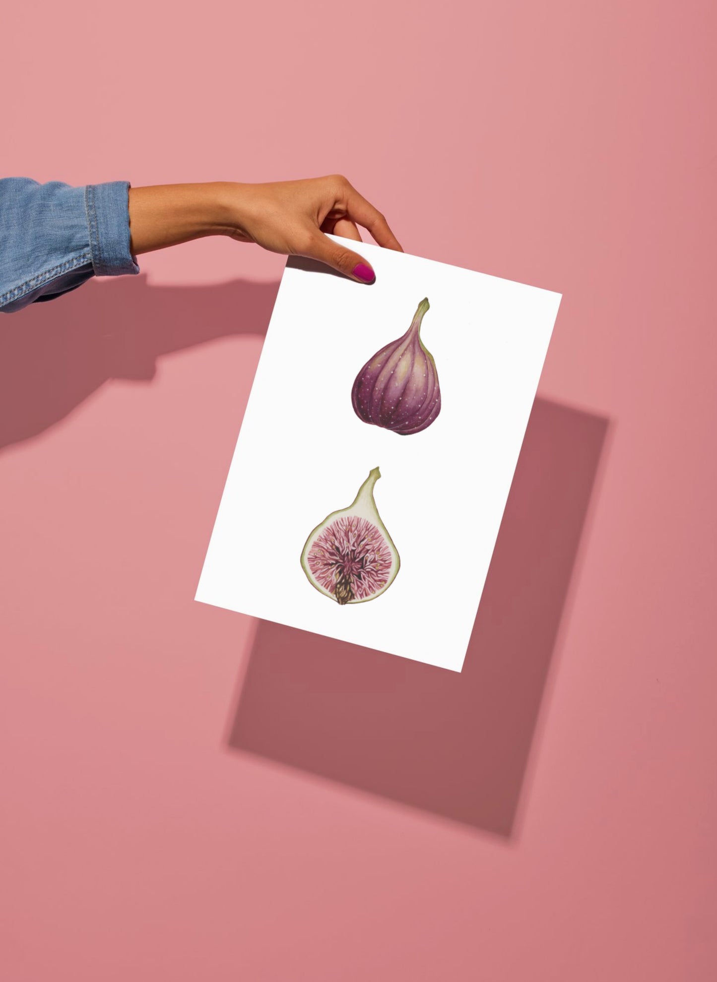 Botanical Figs Watercolour Wall Art Print