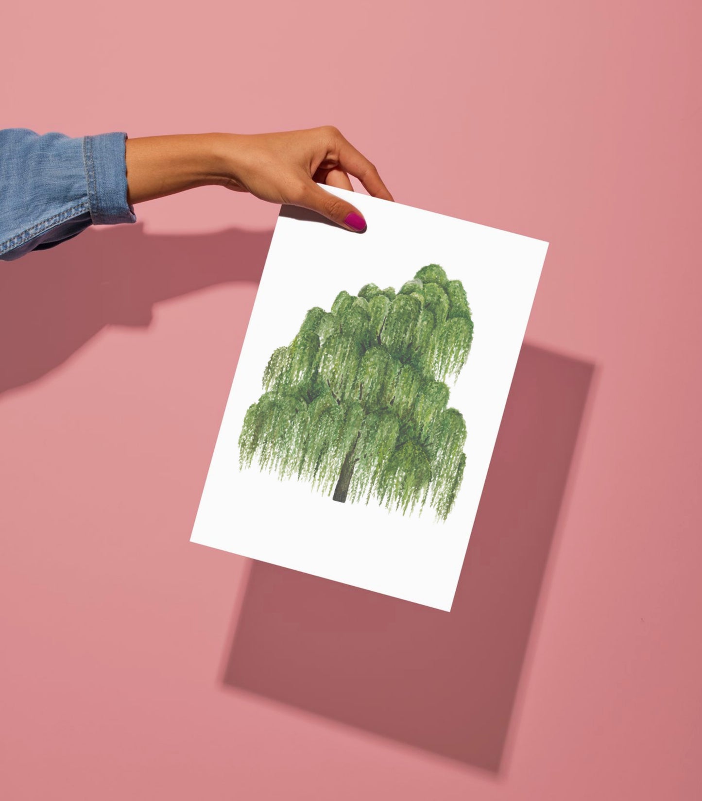 Botanical Willow Tree Watercolour Wall Art Print